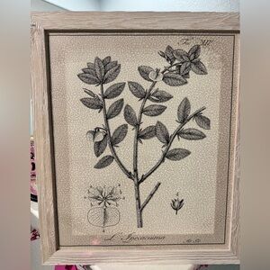 Black and White Botanical VIII framed canvas